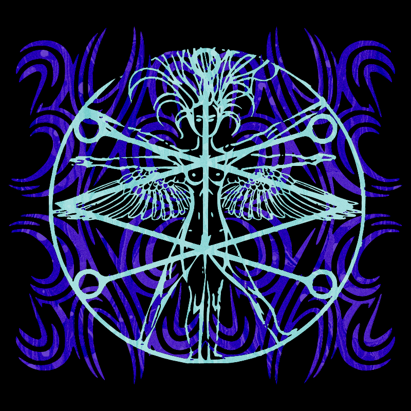 Image of knabinoj t
